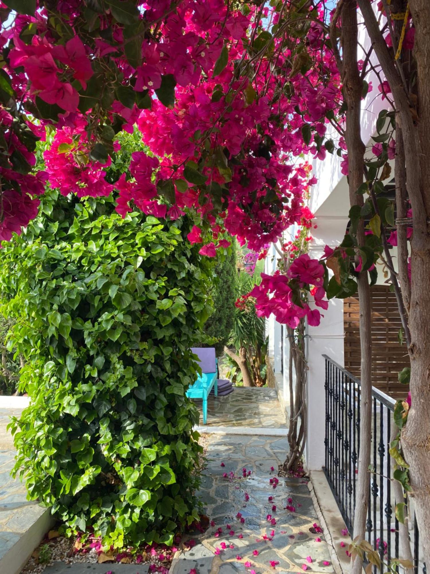 Buenavista Suites Hotel Boutique Santa Eularia des Riu Eksteriør billede