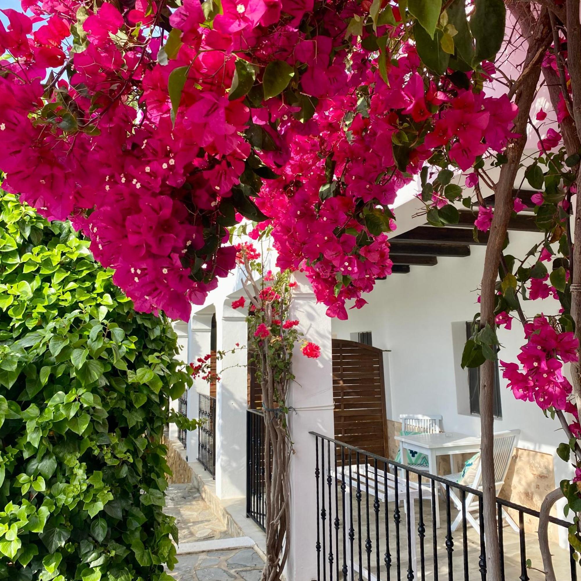 Buenavista Suites Hotel Boutique Santa Eularia des Riu Eksteriør billede